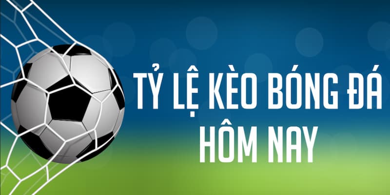 Tỷ Lệ Kèo Nhà Cái Các Loại Tỷ Lệ Kèo Nhà Cái Thông Dụng